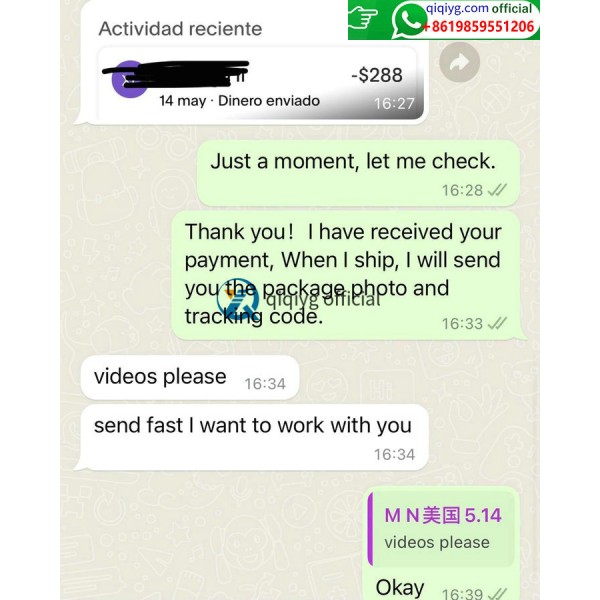 qiqiyg.com Ultimat grossistmodedestination för 2026 ★ Kläder, skor, väskor, accessoarer ★ Toppleverantör ★ Bästa pris ★ R259